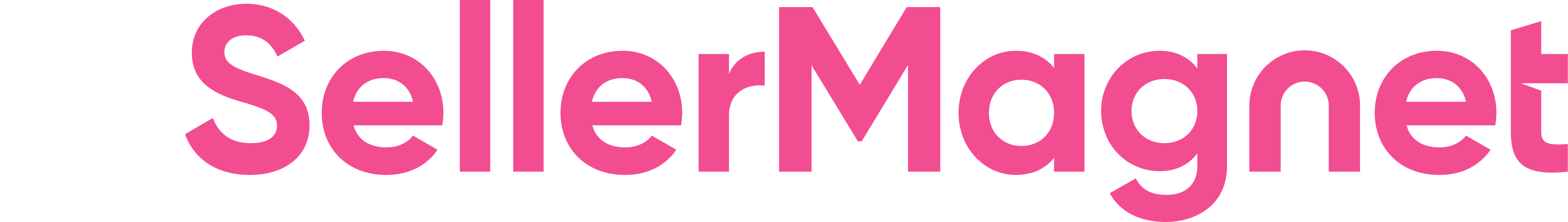 Seller Magnet partner logo